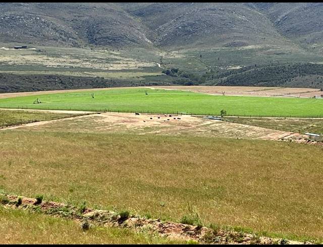 FARM FOR SALE IN GEORGE RURAL